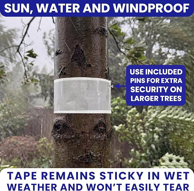 Spotted Lantern Fly Trap for Trees. 3 Sticky Fly Paper Rolls - Image 9