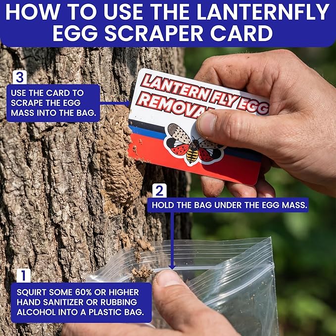 Spotted Lantern Fly Trap for Trees. 3 Sticky Fly Paper Rolls - Image 6