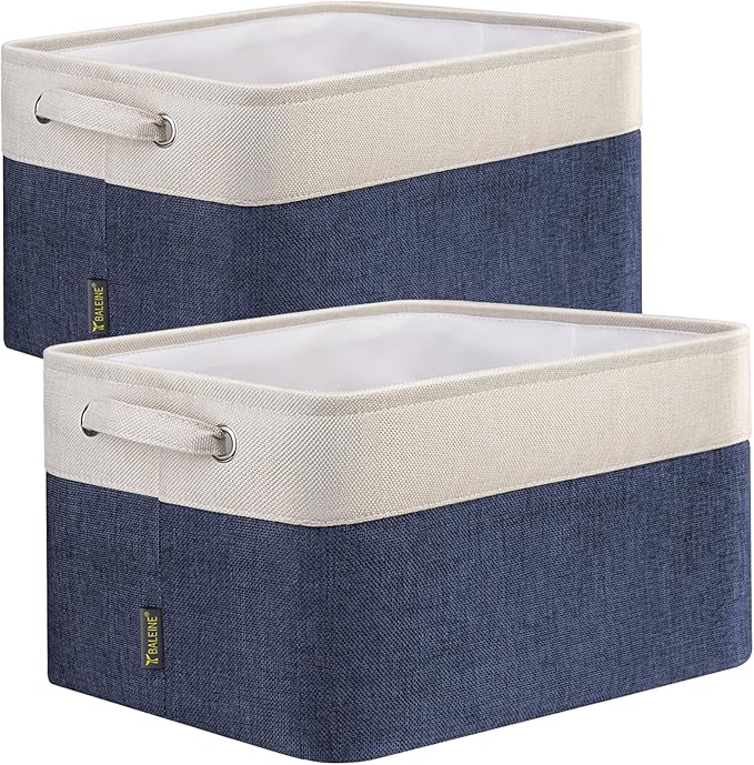 BALEINE 2 Pack Fabric Closet Storage Bins by BALEINE